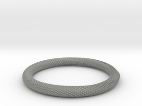 Snake Bracelet_B04 _ Mobius in Gray PA12: Small