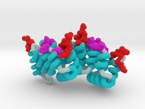 Annexin Monomer 1AEI Ribbon in Matte High Definition Full Color: Medium