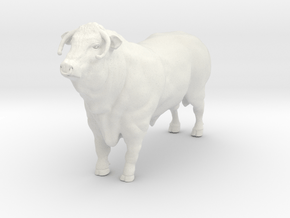 1/64 show hereford bull with nose ring in White Natural Versatile Plastic