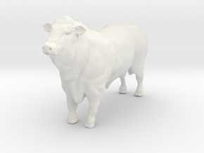 1/64  polled hereford show bull in White Natural Versatile Plastic