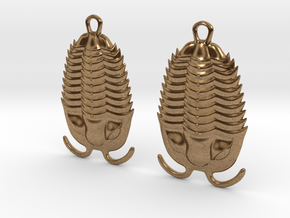 Trilobites Earrings in Natural Brass