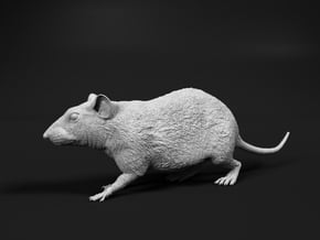 Brown Rat 1:25 Walking in Tan Fine Detail Plastic