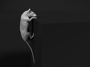 Brown Rat 1:35 Climbing on edge in Tan Fine Detail Plastic