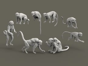 Squirrel Monkey set 1:87 eight different pieces in Tan Fine Detail Plastic