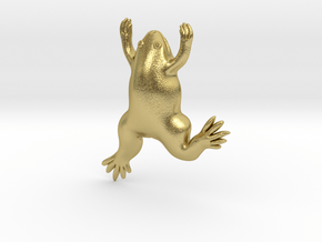Xenopus Frog Pendant - Science Jewelry in Natural Brass