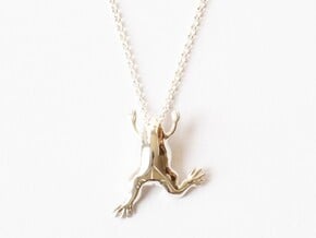 Xenopus Frog Pendant - Science Jewelry in Polished Silver