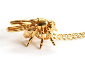 Drosophila Fruit Fly Pendant - Science Jewelry in 14k Gold Plated Brass