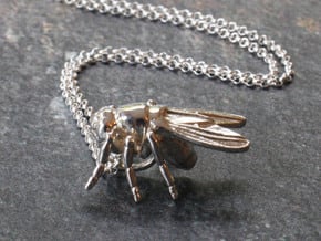 Drosophila Fruit Fly Pendant - Science Jewelry in Polished Silver