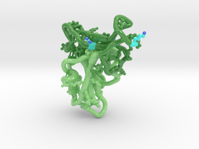 SARS-CoV-2 RBD Delta Plus Mutation 6VXX in Smooth Full Color Nylon 12 (MJF): Small