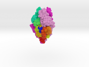 RSV Fusion Glycoprotein Prefusion 5TDL in Matte High Definition Full Color: Extra Small
