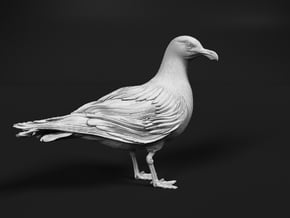 Glaucous Gull 1:12 Standing 3 in Tan Fine Detail Plastic