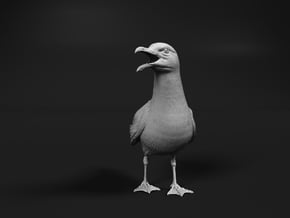 Herring Gull 1:6 Open beak in White Natural Versatile Plastic