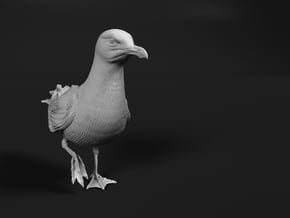 Herring Gull 1:6 On one leg in White Natural Versatile Plastic