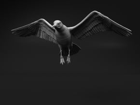 Herring Gull 1:9 Flying 3 in White Natural Versatile Plastic