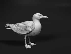 Herring Gull 1:6 Standing 2 in White Natural Versatile Plastic