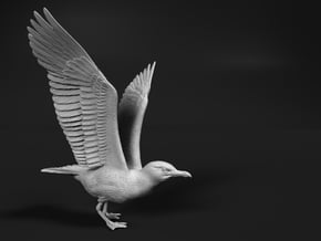 Herring Gull 1:9 Ready for take off in White Natural Versatile Plastic