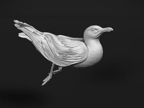 Herring Gull 1:12 Swimming 2 in Tan Fine Detail Plastic