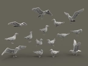 Herring Gull set 1:64 Fifteen different pieces in Tan Fine Detail Plastic
