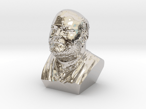 Nigels heed bust in Rhodium Plated Brass