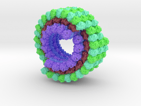 Microtubule 3J2U in Glossy Full Color Sandstone: Medium