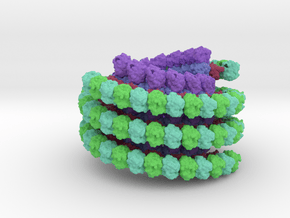 display_Microtubule-3j2u_max-d015_x150-12cm_E24 in Matte High Definition Full Color: Extra Large
