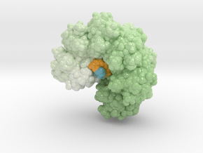 TnsC Bound to DNA in Glossy Full Color Sandstone: Extra Small