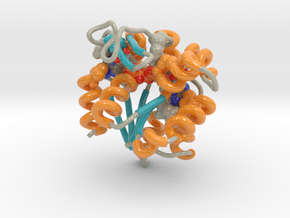 Adenylate Kinase Ribbon  in Smooth Full Color Nylon 12 (MJF): Medium