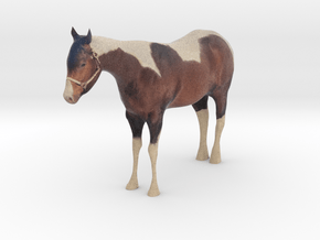 Horse Full Color 3D Scan V2 in Natural Full Color Nylon 12 (MJF)