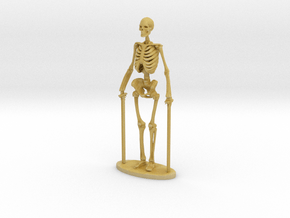1-35 Scale Standing Skeleton in Tan Fine Detail Plastic