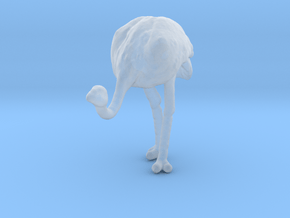Ostrich 1:120 Head Down in Clear Ultra Fine Detail Plastic