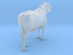 1/2 Brahman x 1/2 Brangus 1:64 Standing Heifer 1 in Clear Ultra Fine Detail Plastic