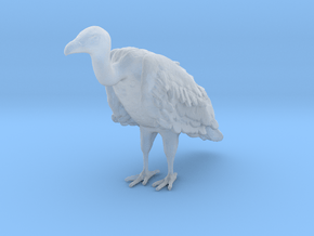 White-Backed Vulture 1:15 Standing 3 in Clear Ultra Fine Detail Plastic