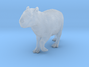 Capybara 1:9 Walking Young in Clear Ultra Fine Detail Plastic