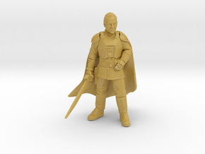 authority viscount (with sword) in Tan Fine Detail Plastic