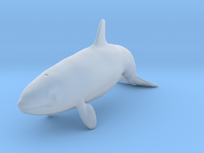 Killer Whale 1:48 Calf 2 in Clear Ultra Fine Detail Plastic