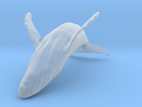 Humpback Whale 1:350 Breaching Female 2 in Clear Ultra Fine Detail Plastic