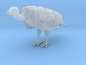White-Backed Vulture 1:15 Standing 1 in Clear Ultra Fine Detail Plastic