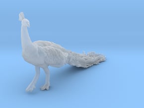 Indian Peafowl 1:32 Walking Peacock in Clear Ultra Fine Detail Plastic