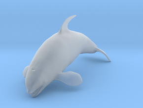 Killer Whale 1:48 Female with mouth open 1 in Clear Ultra Fine Detail Plastic
