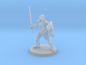 Female Elf Light Paladin with Sword and Shield in Clear Ultra Fine Detail Plastic