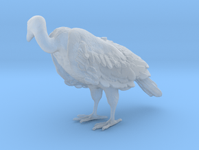 White-Backed Vulture 1:15 Standing 2 in Clear Ultra Fine Detail Plastic