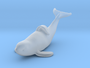 Killer Whale 1:350 Captive male out of the water in Clear Ultra Fine Detail Plastic