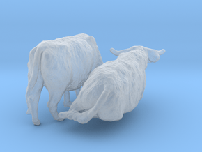 Highland Cattle Set 1:87 two different pieces in Clear Ultra Fine Detail Plastic