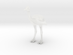 Ostrich in Clear Ultra Fine Detail Plastic