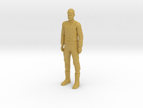 Planet of the Apes - Taylor w/ beard - Custom in Tan Fine Detail Plastic
