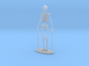 G Scale Skeleton in Clear Ultra Fine Detail Plastic
