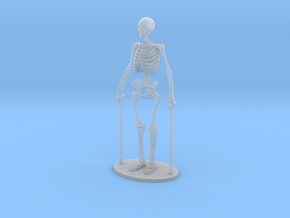 O Scale Skeleton in Clear Ultra Fine Detail Plastic