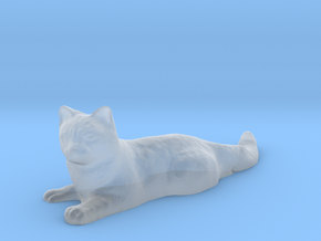 1/24 Cat on Ground in Clear Ultra Fine Detail Plastic