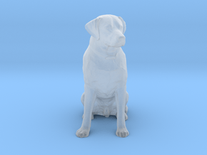O Scale Labrador in Clear Ultra Fine Detail Plastic