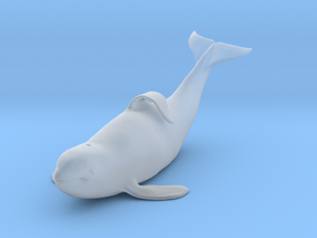 Killer Whale 1:87 Captive male out of the water in Clear Ultra Fine Detail Plastic